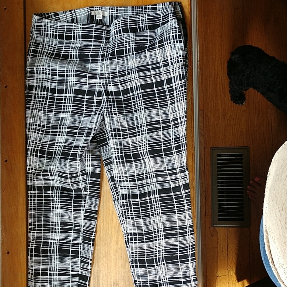 Capris